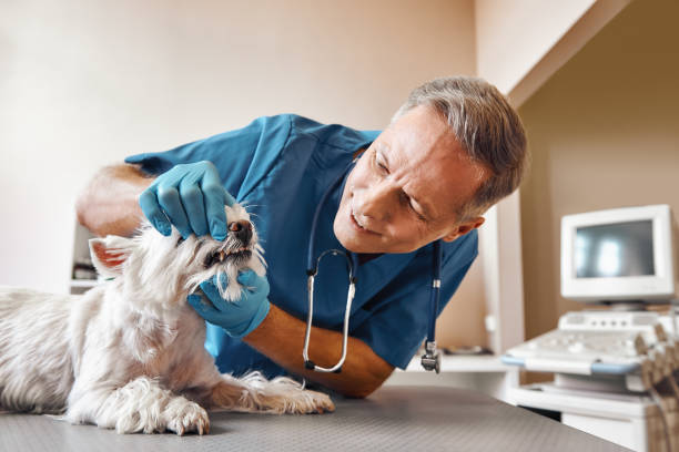 Best Emergency Wisdom Tooth Extraction in Merritt Park, NY